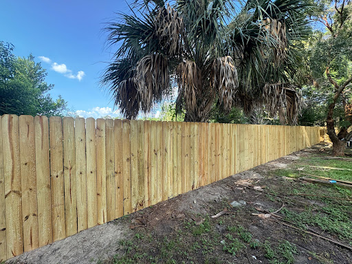 Wood privacy fence under palm trees